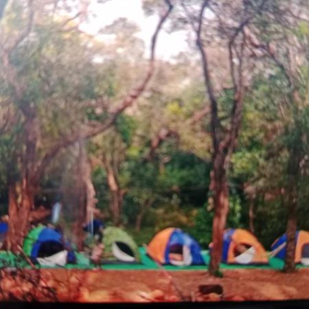 Hotel Hilltone- Matheran Kültér fotó